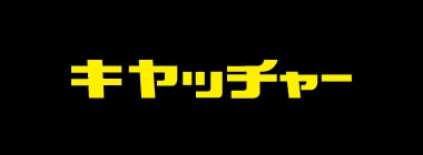 日晴金属株式会社キヤッチャー