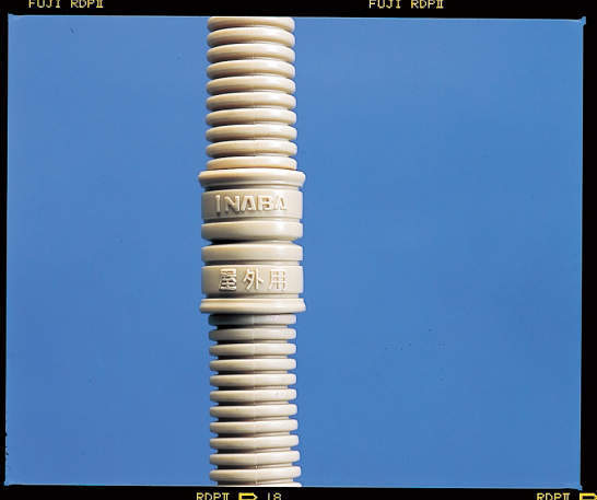 DHJ_pic2.jpg